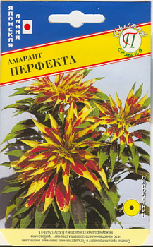 Амарант Перфекта