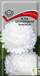 astra_pion_belaya_bashnya