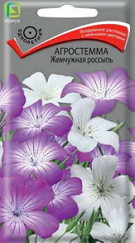 Агростемма жемчужная россыпь