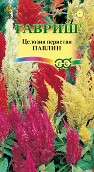 Павлин