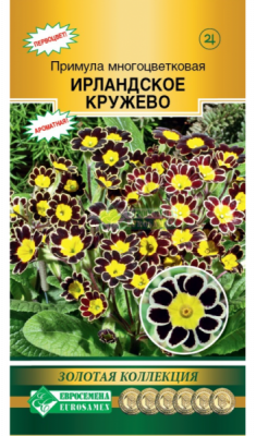 Примула Ирландское Кружево
