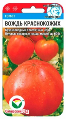 Томат Вождь краснокожих