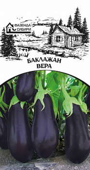 baklazhan-vera-faz-61-04-ru
