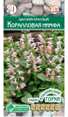Шалфей Нимфа