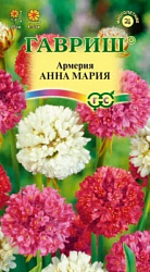 Армерия Анна Мария