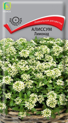 alissum_limonad