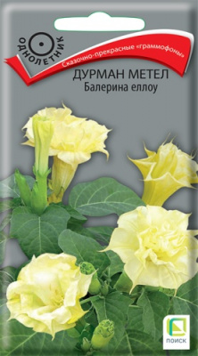 durman_metel_balerina_yelloy