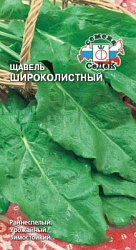 shchavel_shirokolistnyy