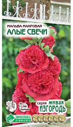 Мальва Алые Свечи