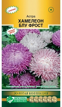 Астра Хамелеон Блу фрост