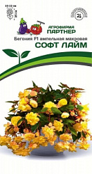 Бегония софт лайм