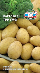 Картофель Триумф