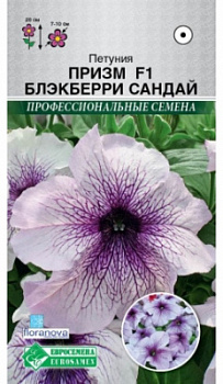 Петуния Призм Блэкберри Сандай