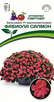 Бальзамин фабиола салмон