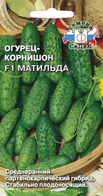 ogurets_matilda_f1