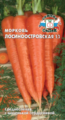 morkov_losinoostrovskaya_13