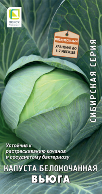 Kapusta belokochannaja Vjuga