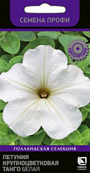 petunia_krupnocvet_tango_belaya