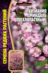 Луизиания