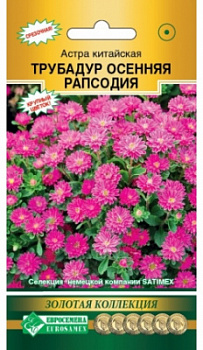 Астра трубадур осенняя