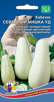 kabachok-severnyy-mishka