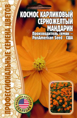 Космос мандарин