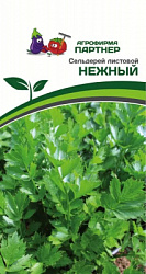 Сельдерей нежный
