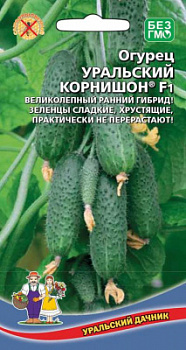ogurec-uralskiy-kornishon-f1