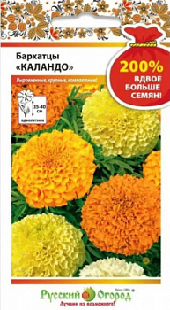 Бархатцы Каландо