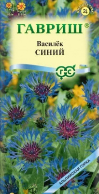 Василек синий