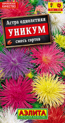 Астра Уникум, смесь сортов_ЦП