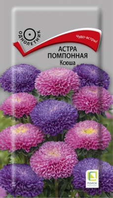 astra_pompon_ksusha