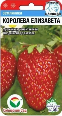 Елизавета
