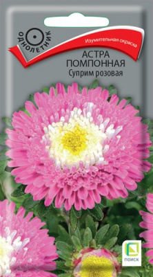 astra_pomponnaya_suprim_rozovaya