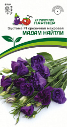 ЦБ-00000400_1
