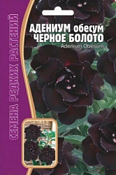 Адениум черное болото