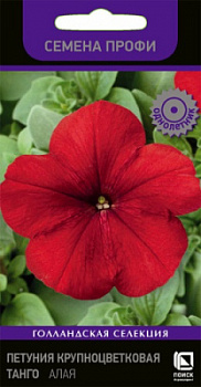 petunia_krupnocvet_tango_alaya