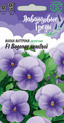 Виола лиловый