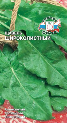 shchavel_shirokolistnyy