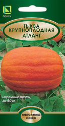 tykva_krupnoplod_atlant