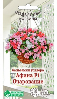 Бальзамин Афина