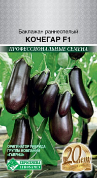 Баклажан Кочегар