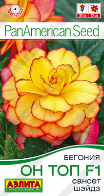 Бегония Он Топ F1 сансет шэйдз