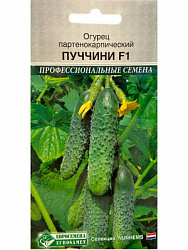 ЦБ-00000972_1