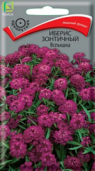 Иберис зонтичный Вспышка
