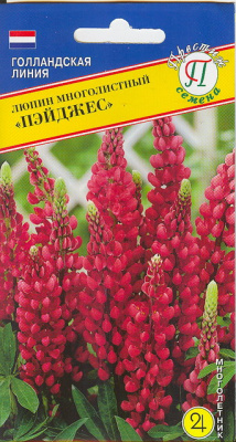 Пейджес