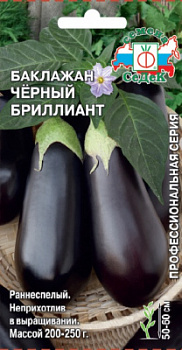 baklazhan_chernyy_brilliant
