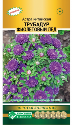 Астра ТРУБАДУР Фиолетовый Лед