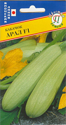 Кабачок Арал