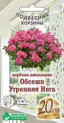 Вербена ампельная Обсешн Утренняя Нега